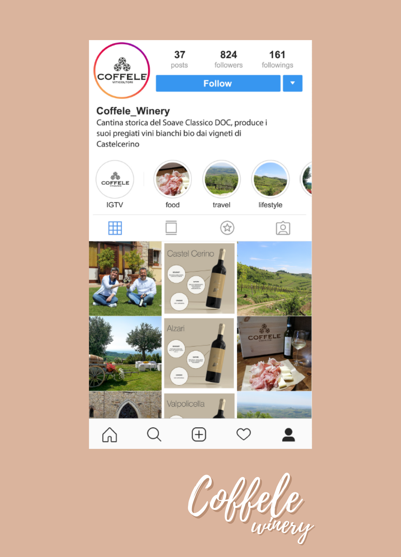 social media management per cantine vitivinicole